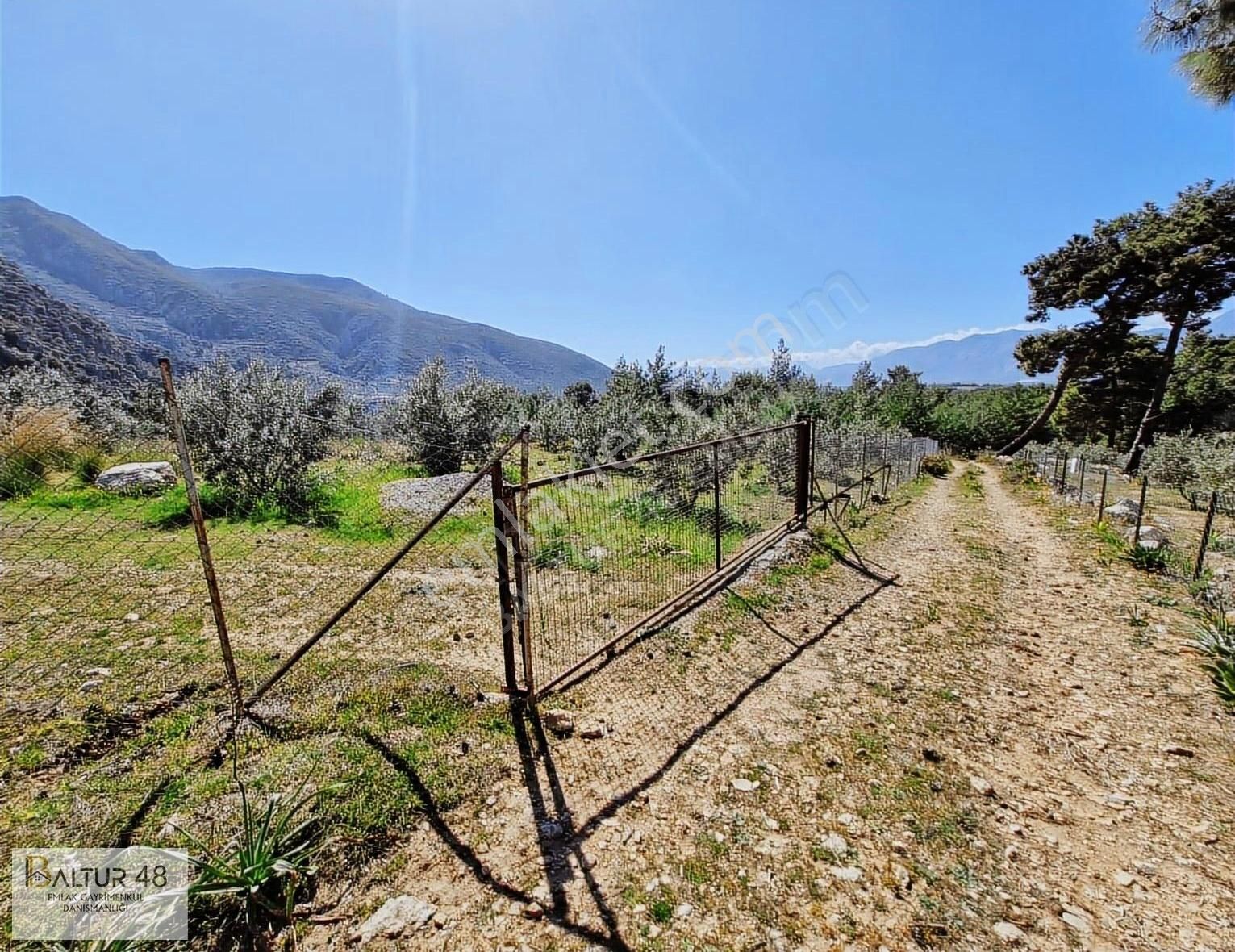 Seydikemer Kayadibi(saklıkent)te Yatırım Fırsatı Arazi