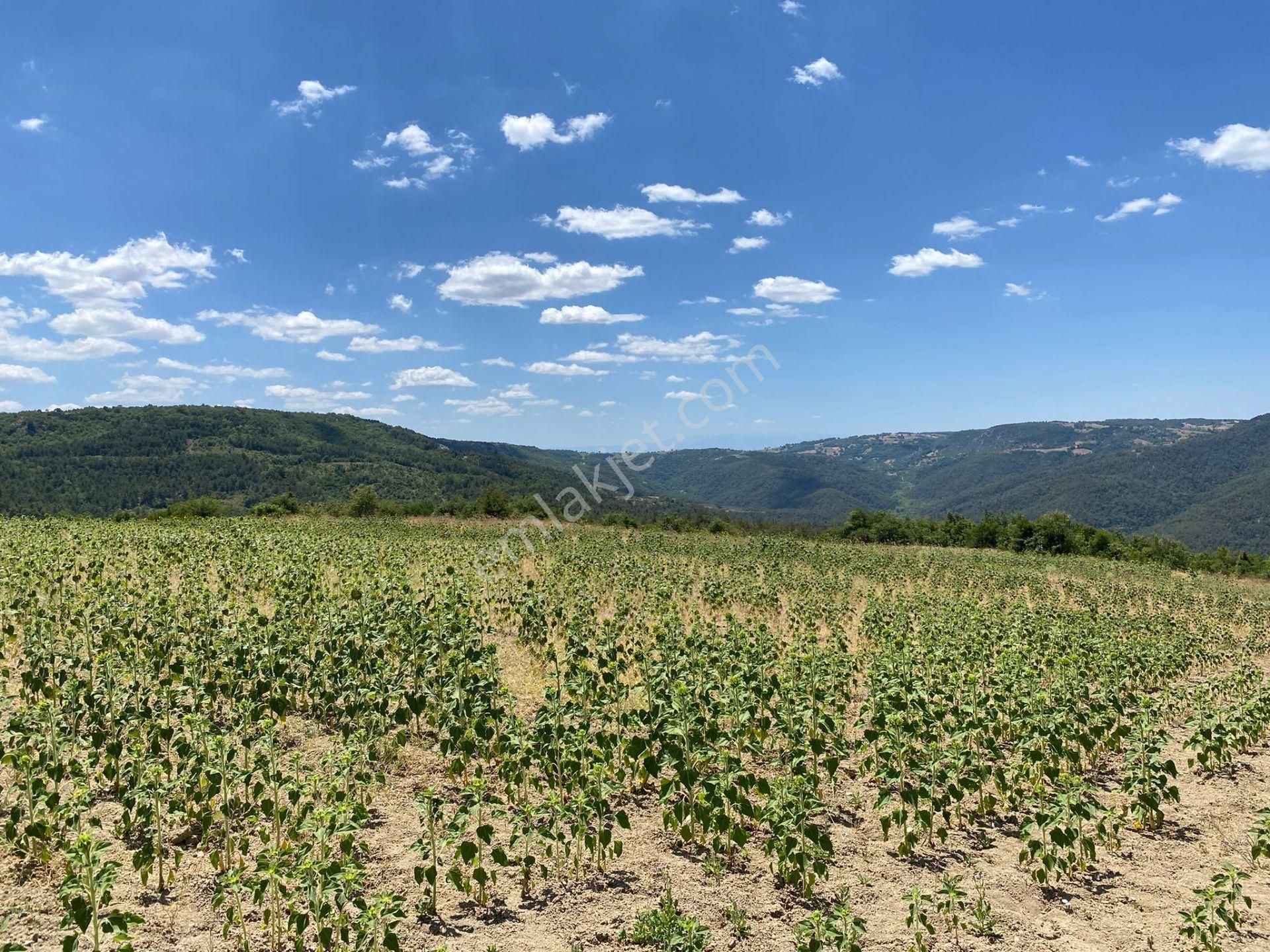 3.328 M2 Resmı Yolu Olan Manzaralı Satılık Arazi