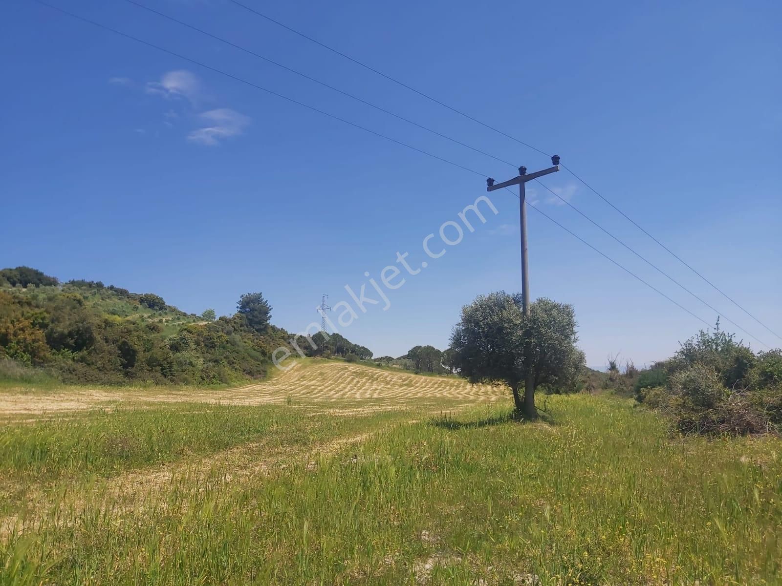 Yayla Köyü Kuşadasında Satılık Tarla