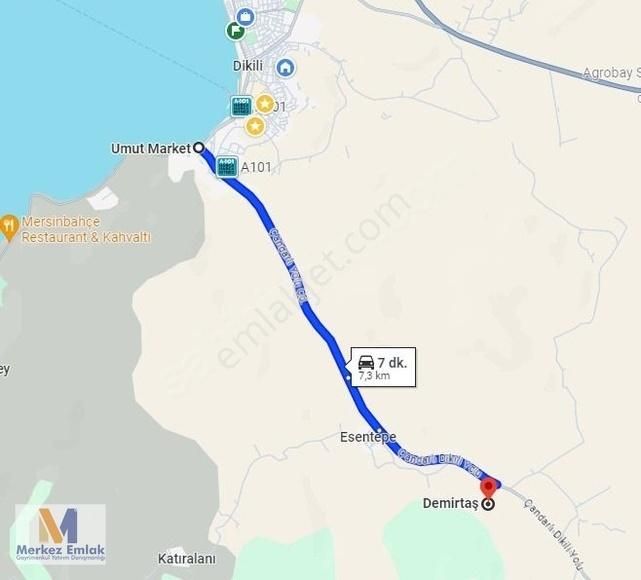 Merkez'den Ana Yola Yakın Kadastral Yola Cepheli Zeytinli Tarla - Görsel 5