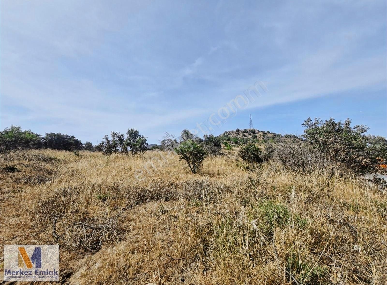 Merkez'den Dikili'ye 10 Km Ana Yola Cepheli Satılık Tarla - Görsel 6
