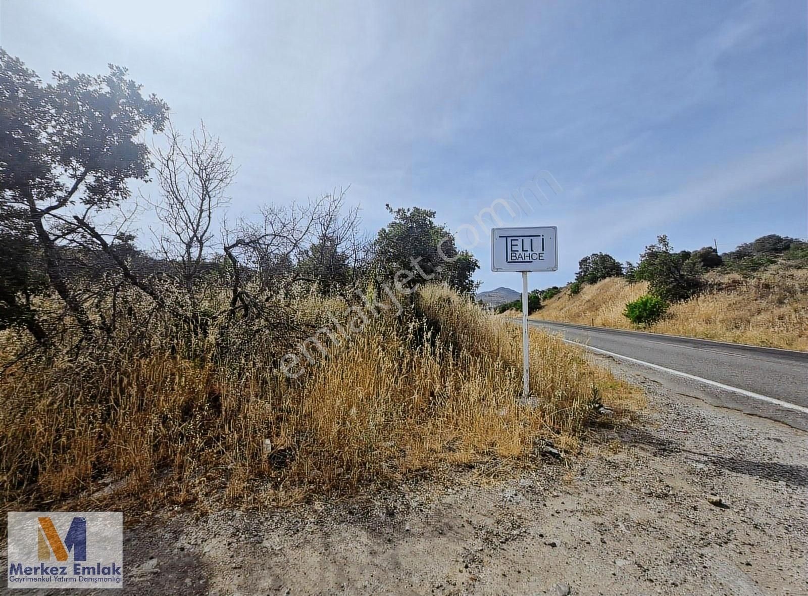Merkez'den Dikili'ye 9 Km Ana Yol Üzeri Satılık Tarlalar - Görsel 2