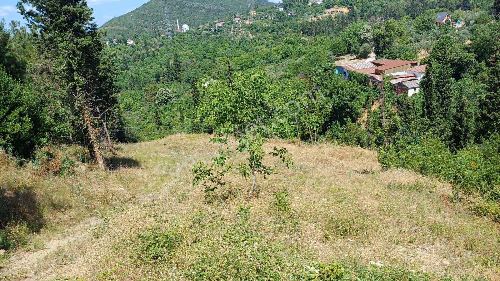 Kocaeli Karamürsel Pazarköy 1.869 M² İmarlı Arsa + 2.883 M² Tarla Tek Parça Satılık - Görsel 4