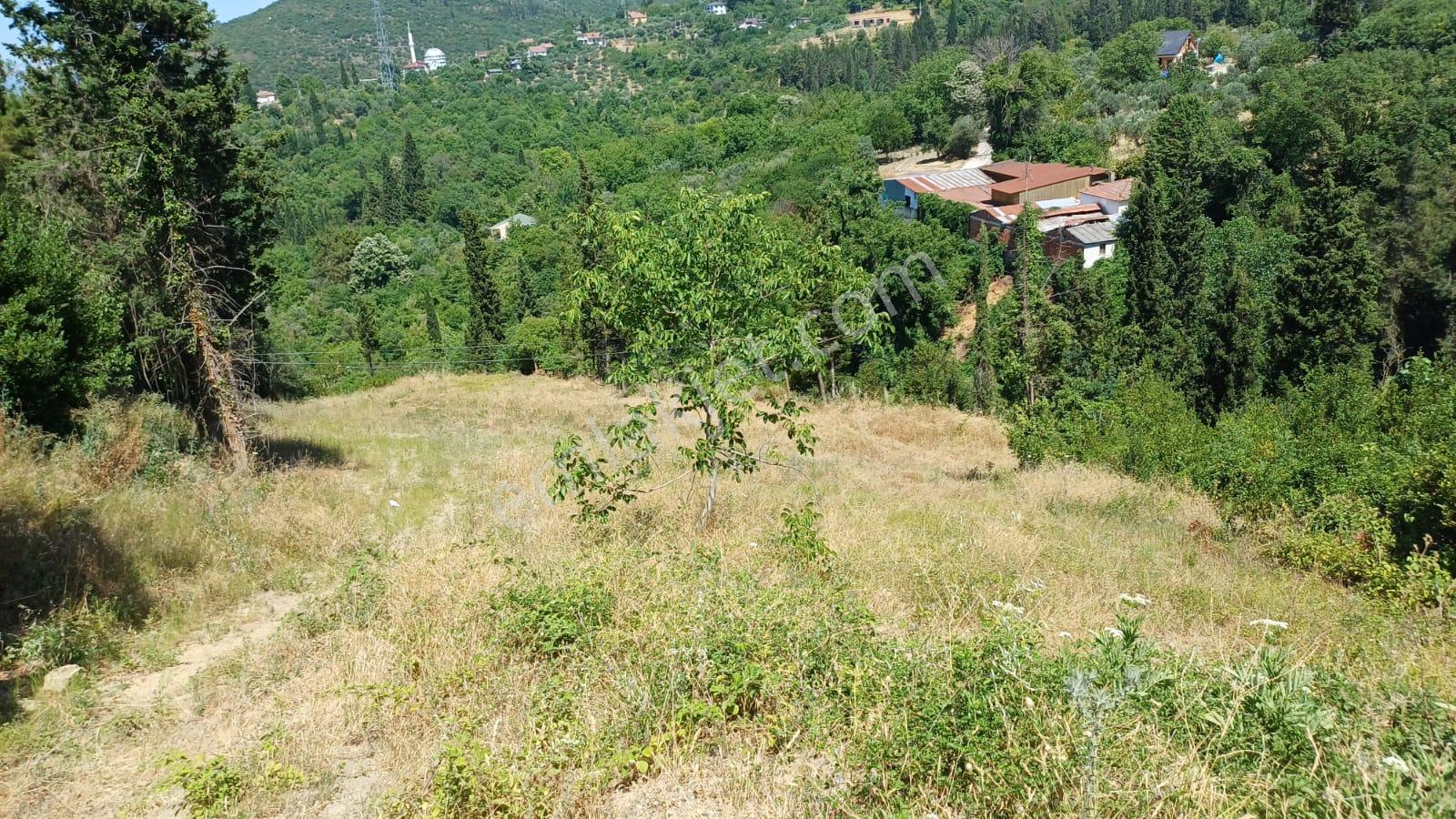 Kocaeli Karamürsel Pazarköy 1.869 M² İmarlı Arsa + 2.883 M² Tarla Tek Parça Satılık - Görsel 6