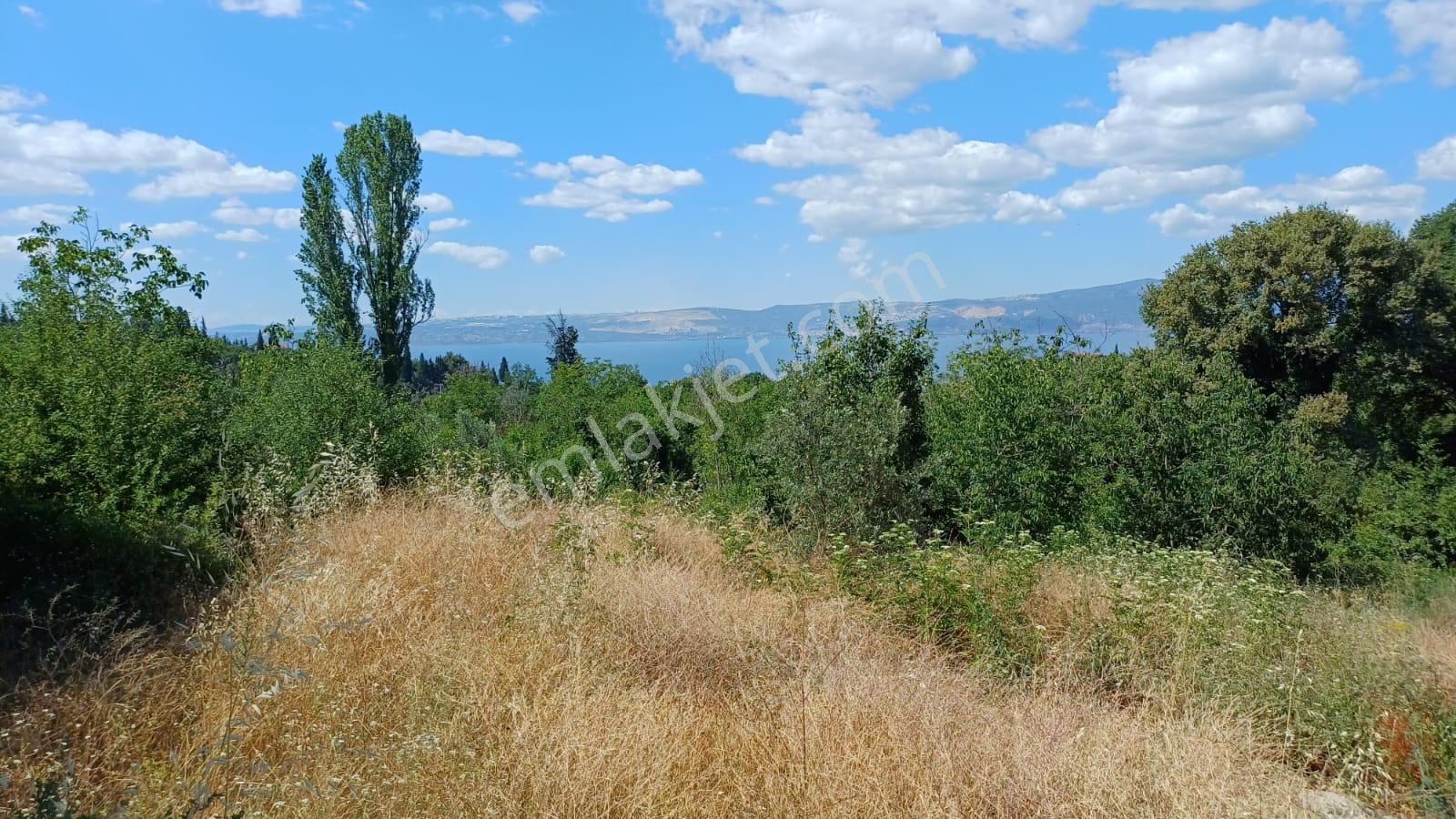Kocaeli Karamürsel Pazarköy 657 M2 Konut İmarlı Satılık Arsa