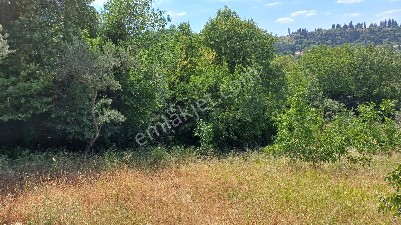 Kocaeli Karamürsel Pazarköy 400 M2 Konut İmarlı Satılık Arsa - Görsel 8