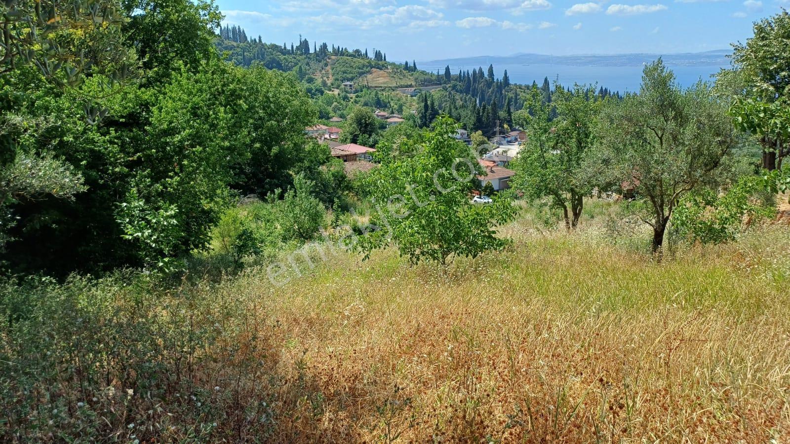 Kocaeli Karamürsel Pazarköy 400 M2 Konut İmarlı Satılık Arsa - Görsel 10