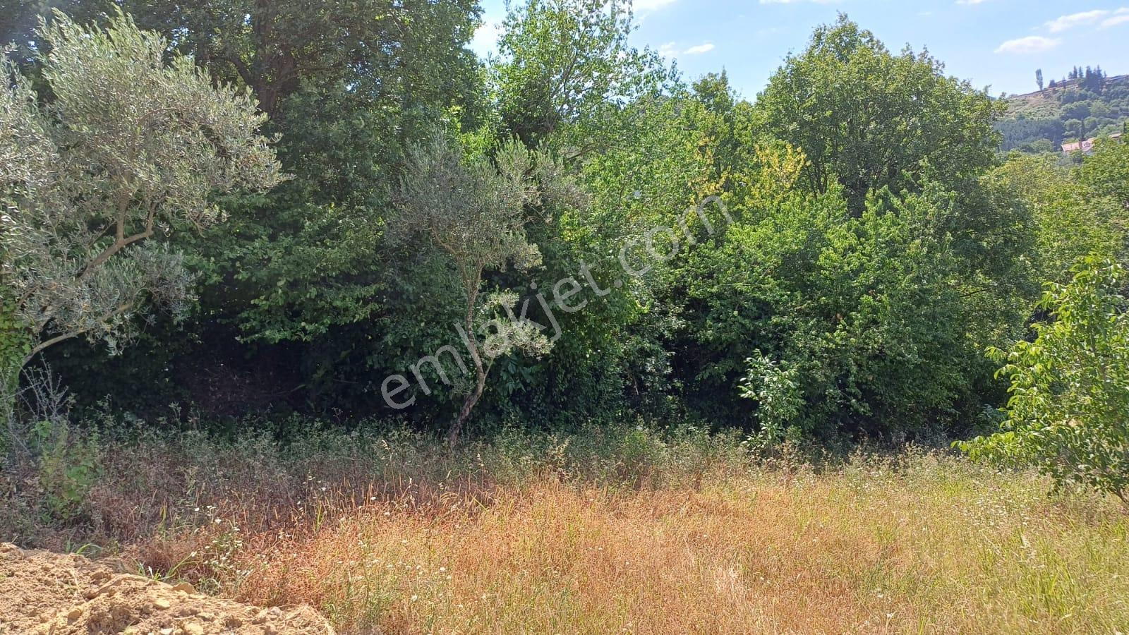 Kocaeli Karamürsel Pazarköy 400 M2 Konut İmarlı Satılık Arsa - Görsel 5