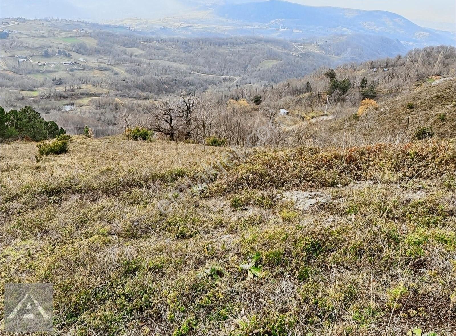 Yalova Sugörende Yola Cephe Merkeze Yakın İznik Gölü Manzaralı