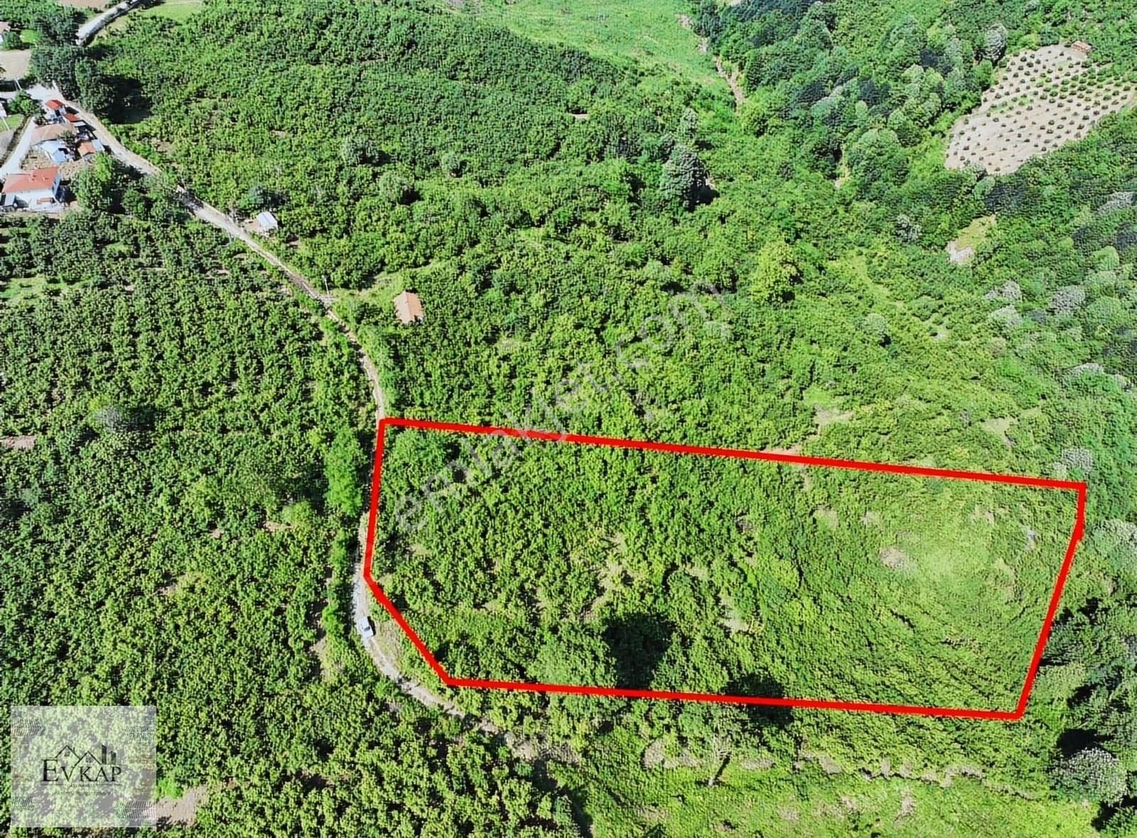 Evkap Gayrimenkulden Serdivan Dağyoncalığında Yatırımlık Tarla