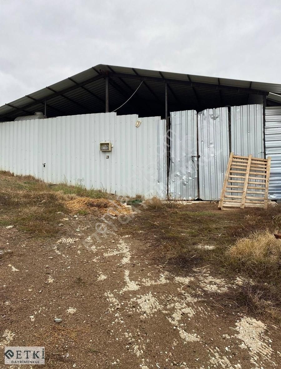 Etki'den Bilecik Kurtköy'de 5.912 M2 Tarla Ahır,sağımhane,kümes