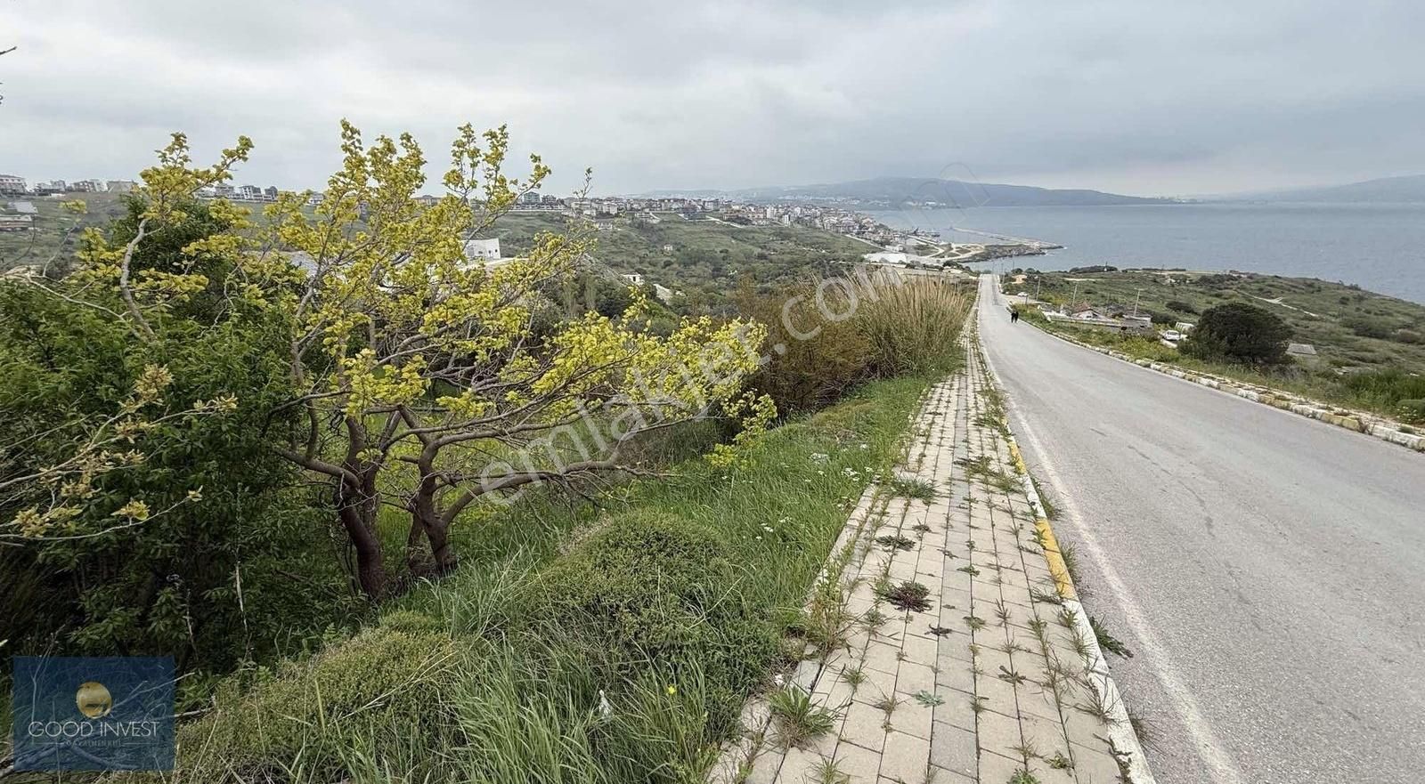 Fırsat! Deniz Manzaralı Hisseli Satılık Zeytinlik (takasa Açık)