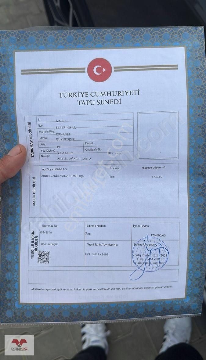 İzmir Seferihisar Orhanlı Da Zeytin Ağaçlı Tarla