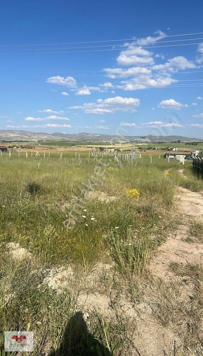 Hacılarda Anayola Cepheli