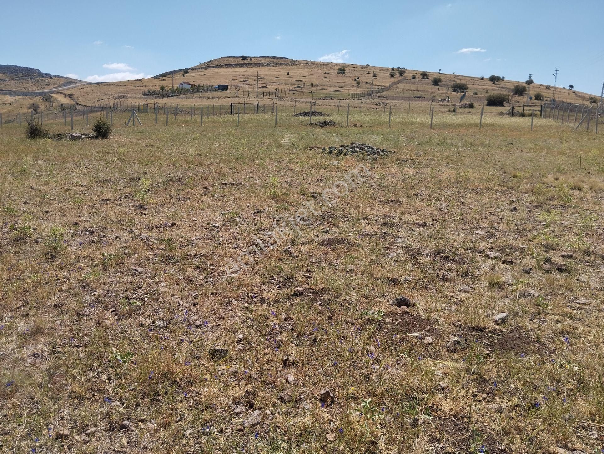 Ankara Gölbaşı Beynam'da 1.380 M² Orman Manzaralı Yatırımlık İmarlı Arsa