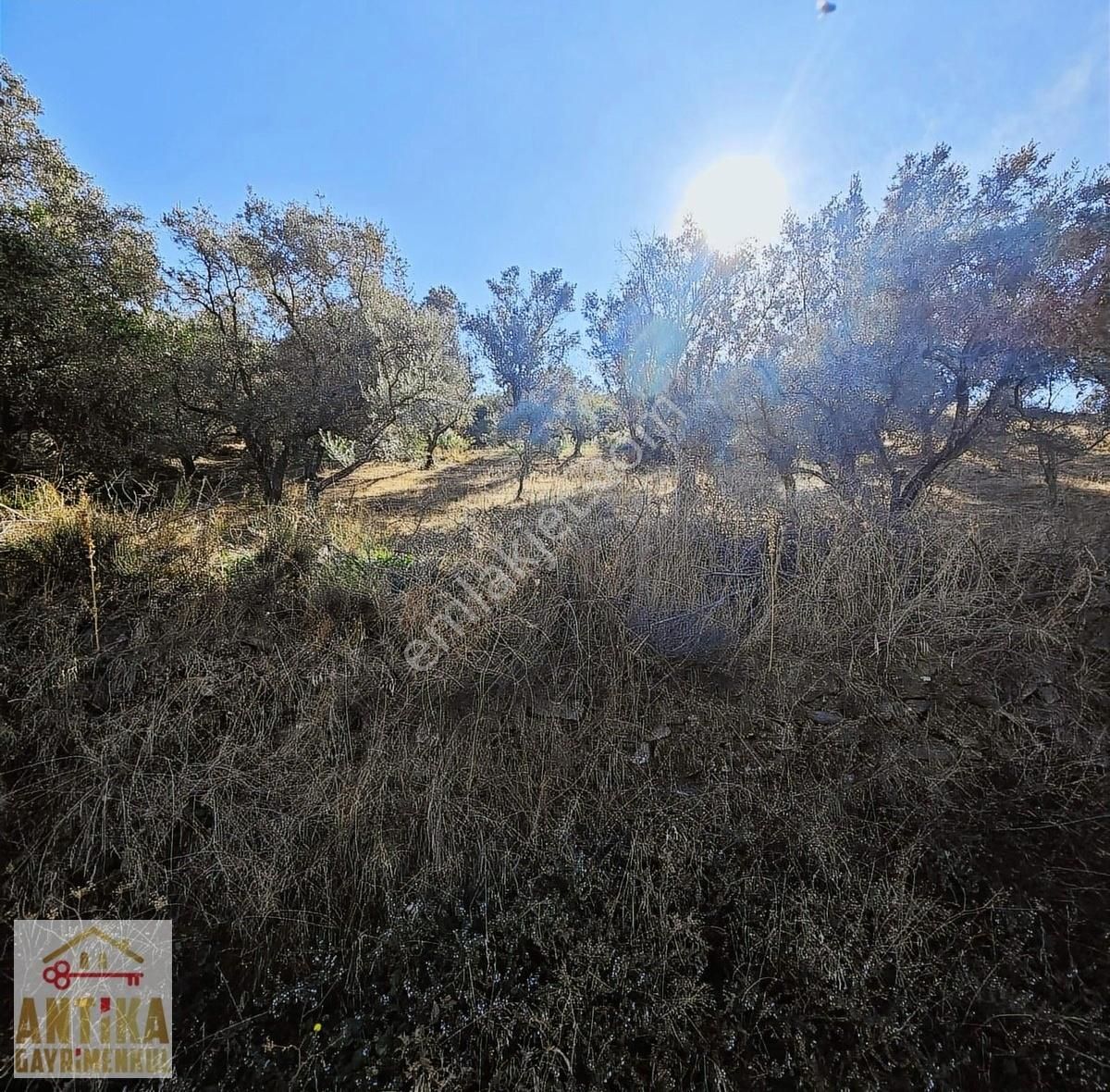 Antika Dan Bademli 5 Tapu Tek Fiyat Büyük İndirim Fırsat - Görsel 8