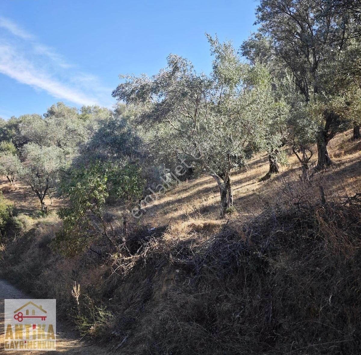 Antika Dan Bademli 5 Tapu Tek Fiyat Büyük İndirim Fırsat - Görsel 14