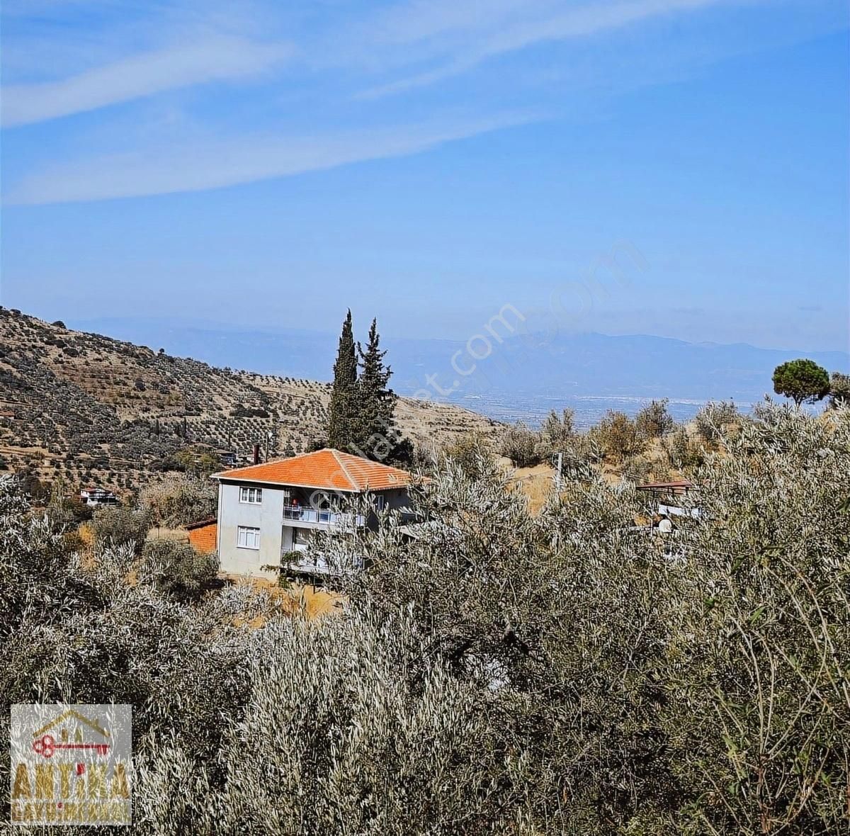 Antika Dan Bademli 5 Tapu Tek Fiyat Büyük İndirim Fırsat - Görsel 6