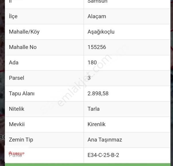 Alaçam Aşağıkoçlu 2900 M2 Kadastro Yola Cephe Mahalleye Yakın