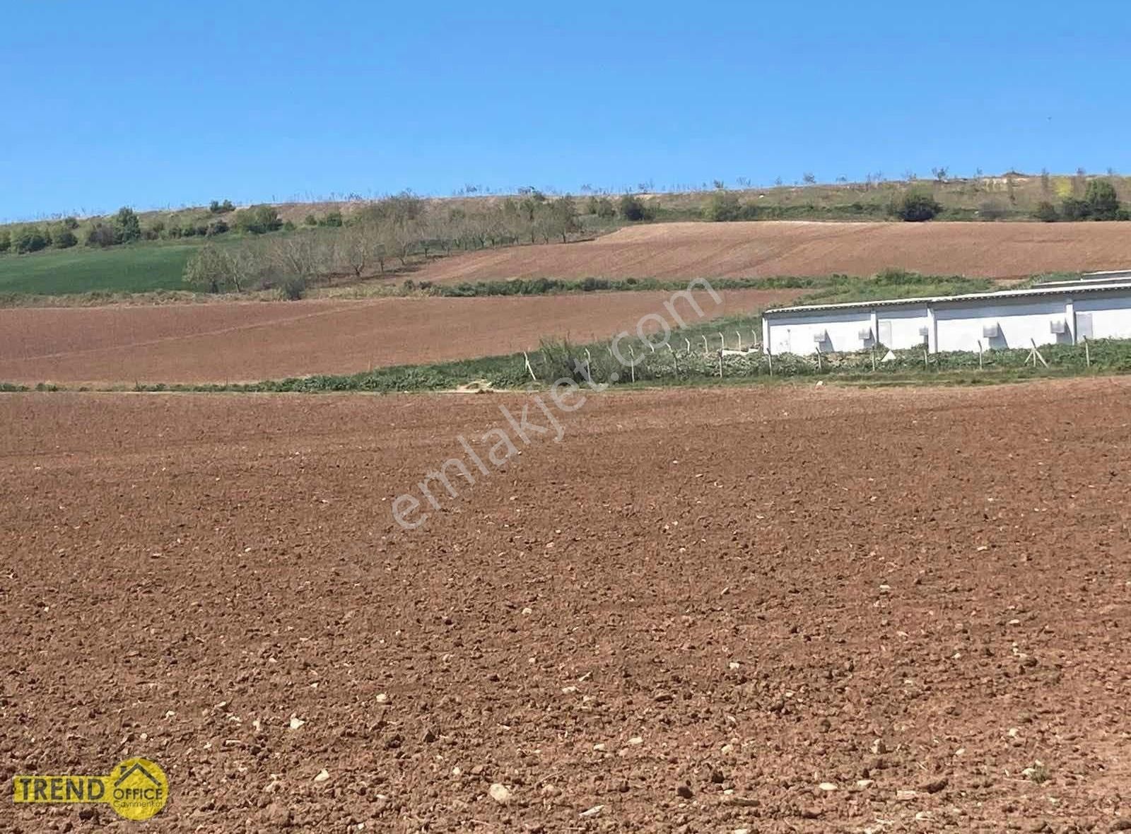 Yenişehir Osmaniye 7681 M2 Satılık Tarla 2 Tapu