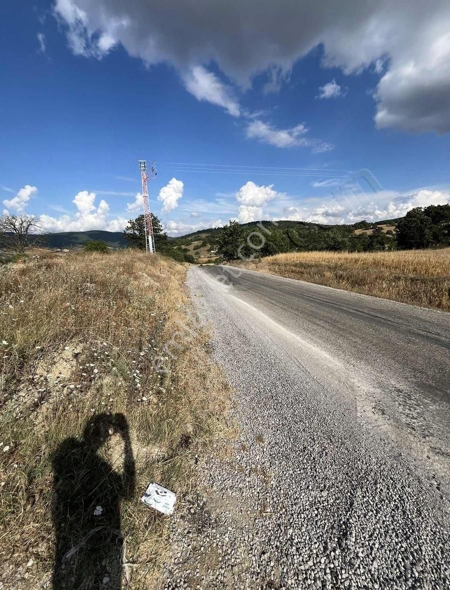 Konteyner Kurulumuna Uygun Yol Kenarı Parsel