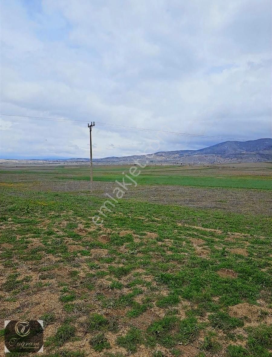 Burdur Karaman Kılavuzlarda Elektırik Başında Satılık Tarla - Görsel 10