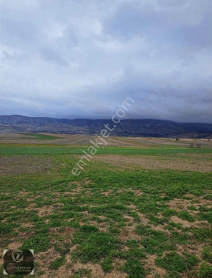 Burdur Karaman Kılavuzlarda Elektırik Başında Satılık Tarla - Görsel 2