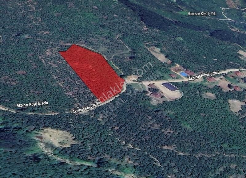 Akbal'dan Akpınar Köyünde 6592 M² Fındıklık