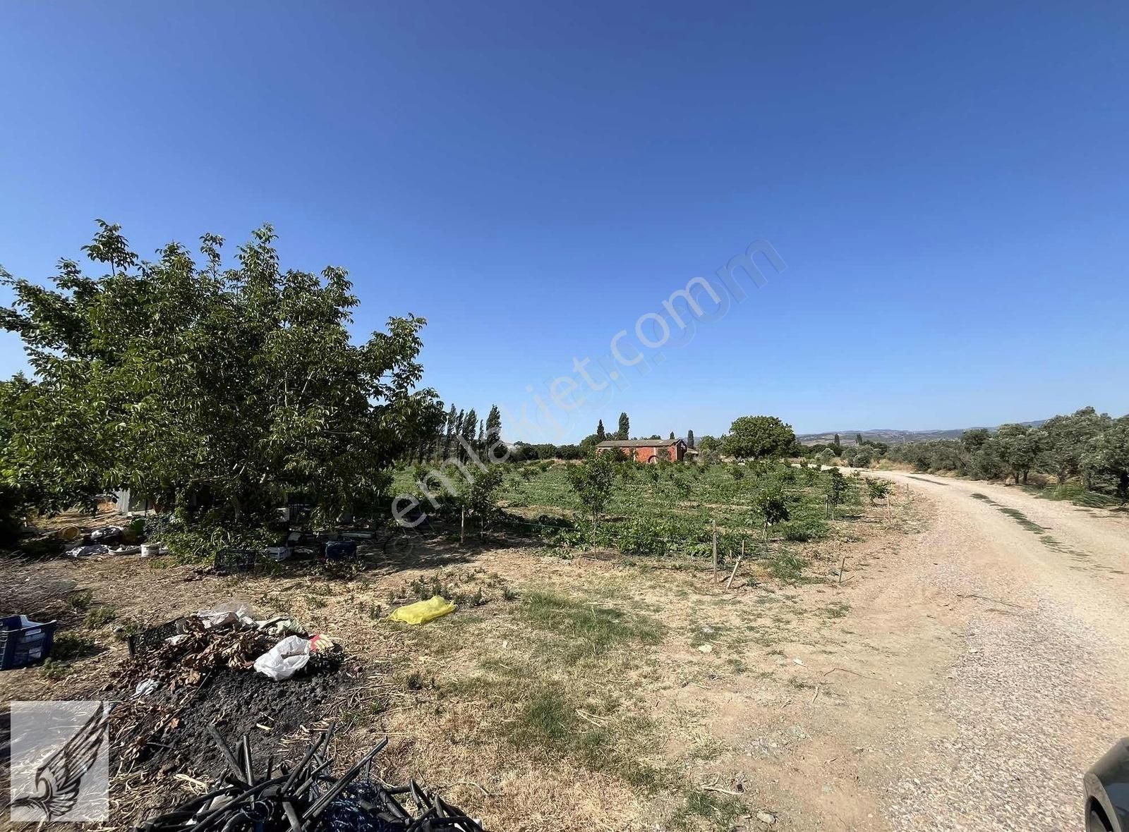 Seferihisar Turgut Köyünde 7.500m² Satılık Tarla - Görsel 18