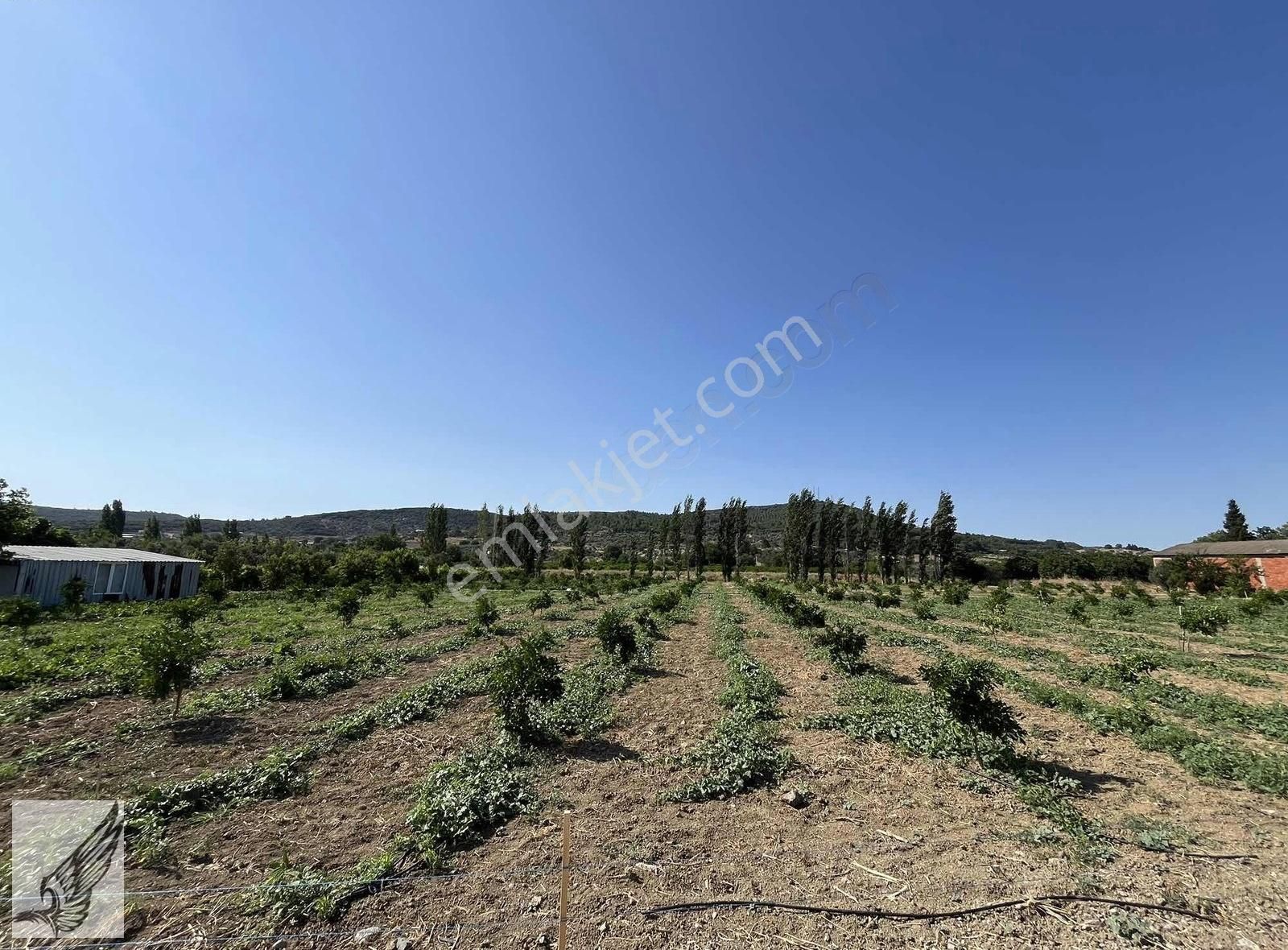Seferihisar Turgut Köyünde 7.500m² Satılık Tarla - Görsel 19
