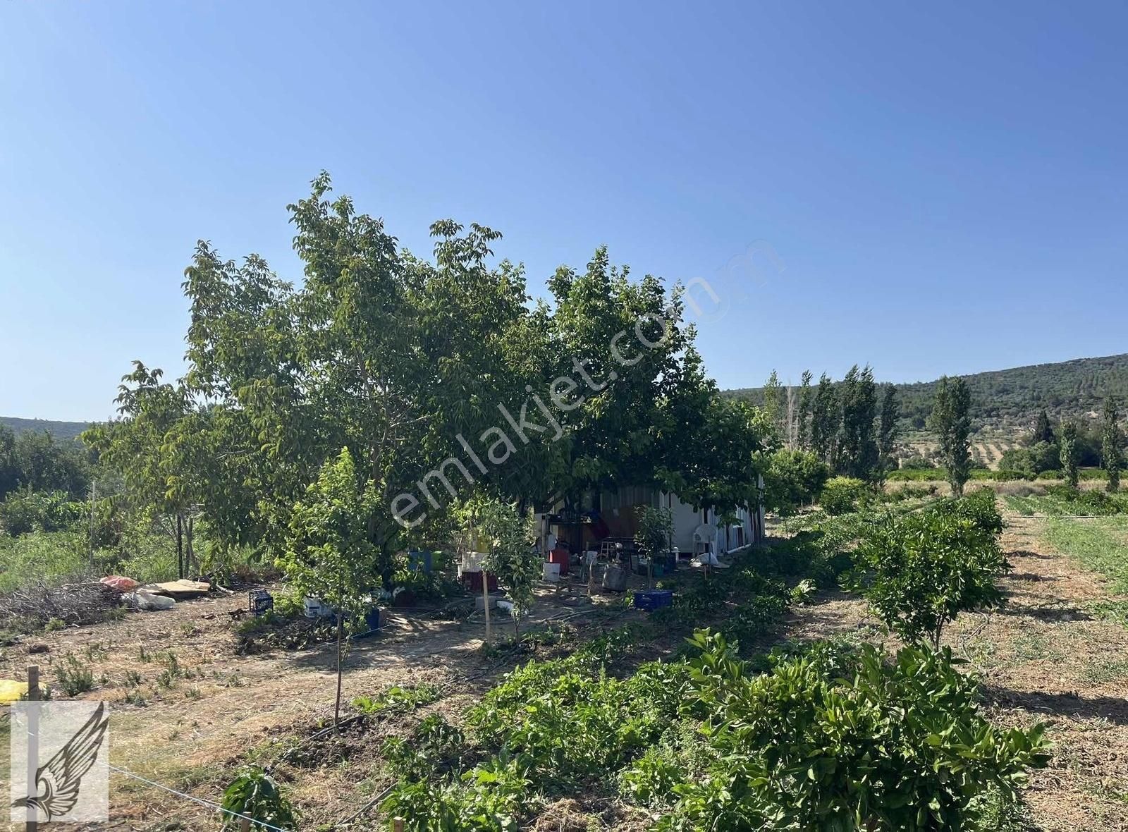 Seferihisar Turgut Köyünde 7.500m² Satılık Tarla - Görsel 6