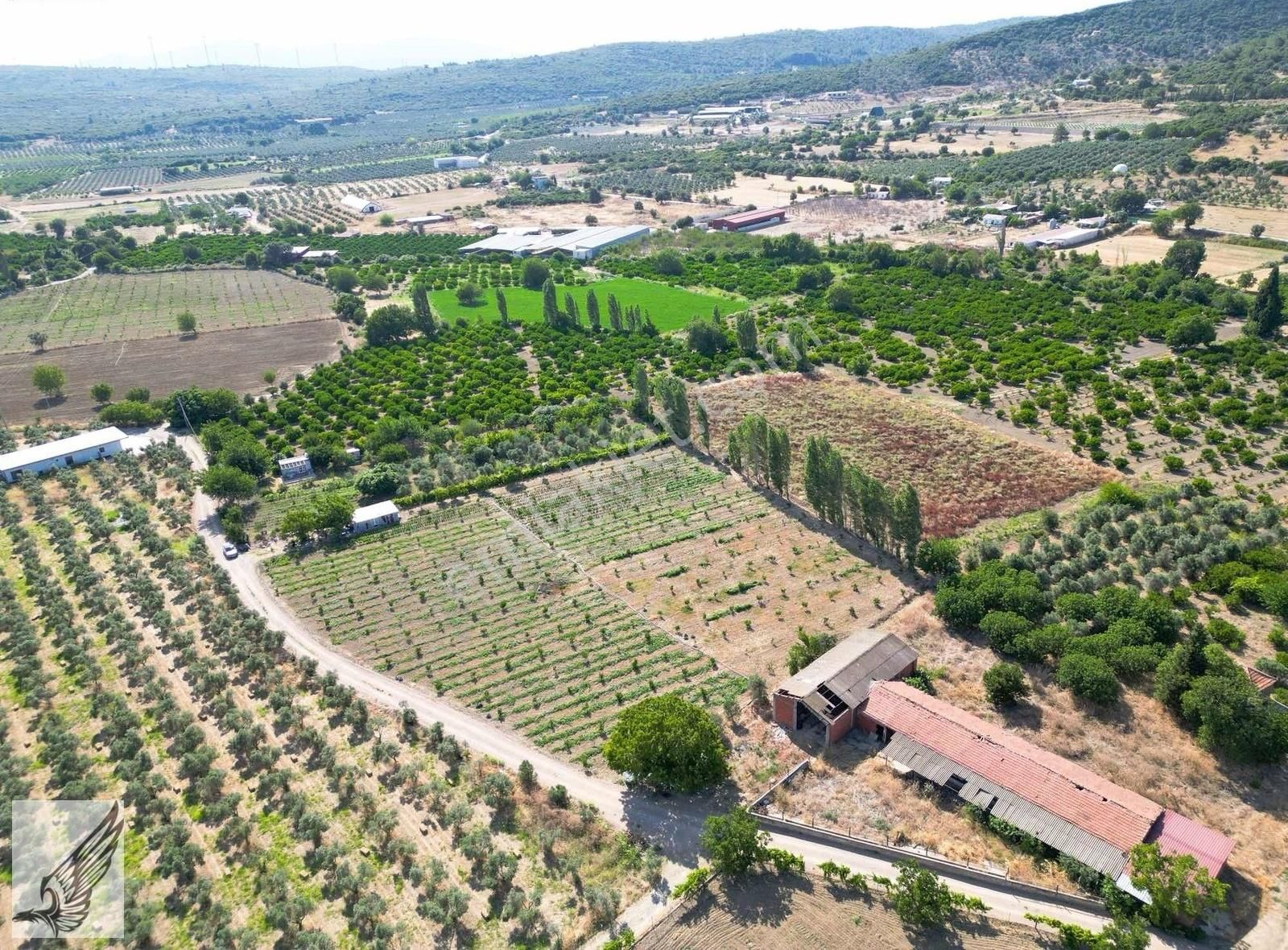 Seferihisar Turgut Köyünde 7.500m² Satılık Tarla - Görsel 5