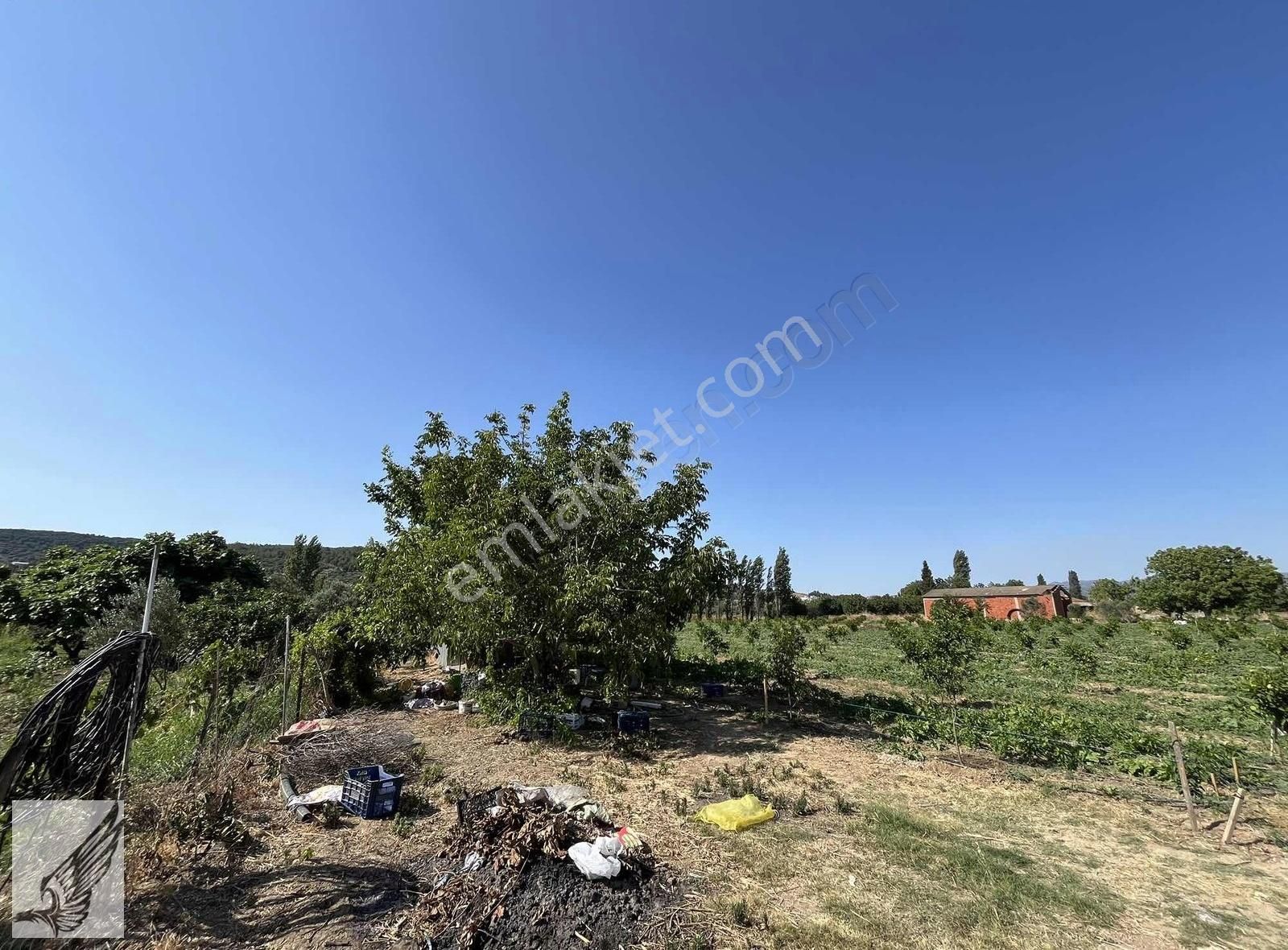 Seferihisar Turgut Köyünde 7.500m² Satılık Tarla - Görsel 14