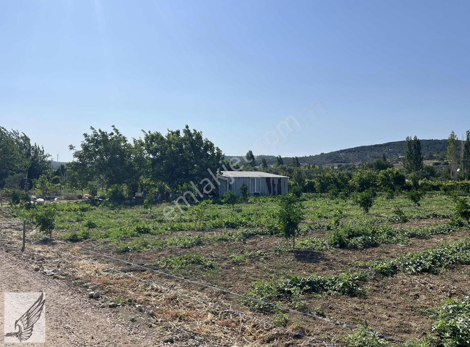 Seferihisar Turgut Köyünde 7.500m² Satılık Tarla - Görsel 11