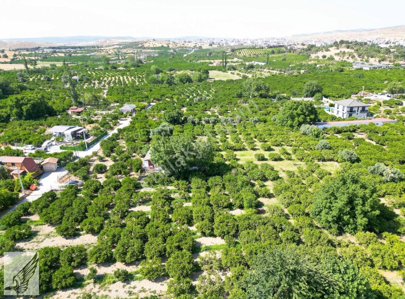 Sığacık Yolu Üzerinde 4.800m² Mandalina Bahçesi Ve Ruhsatlı Ev - Görsel 2