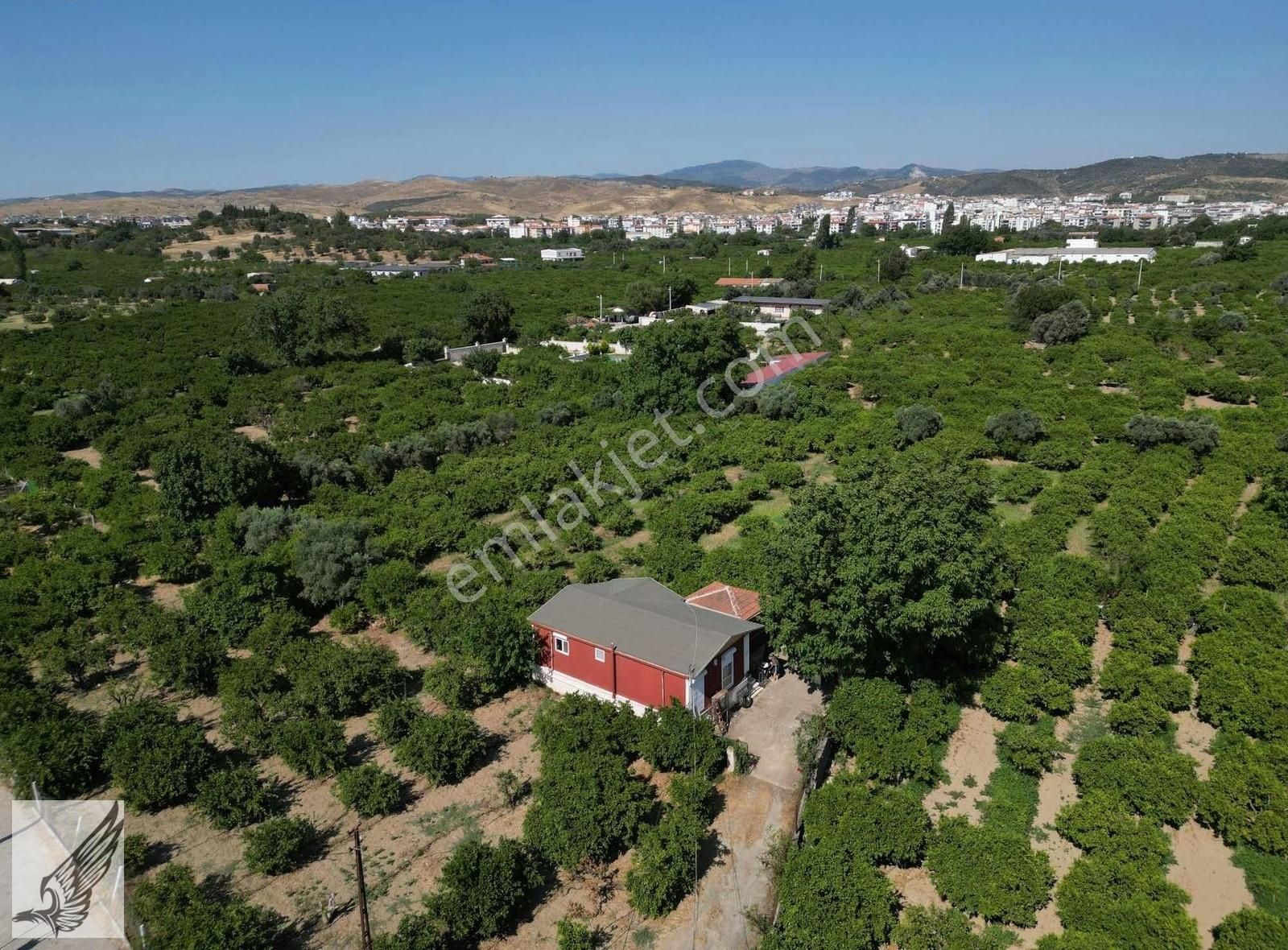 Sığacık Yolu Üzerinde 4.800m² Mandalina Bahçesi Ve Ruhsatlı Ev - Görsel 12