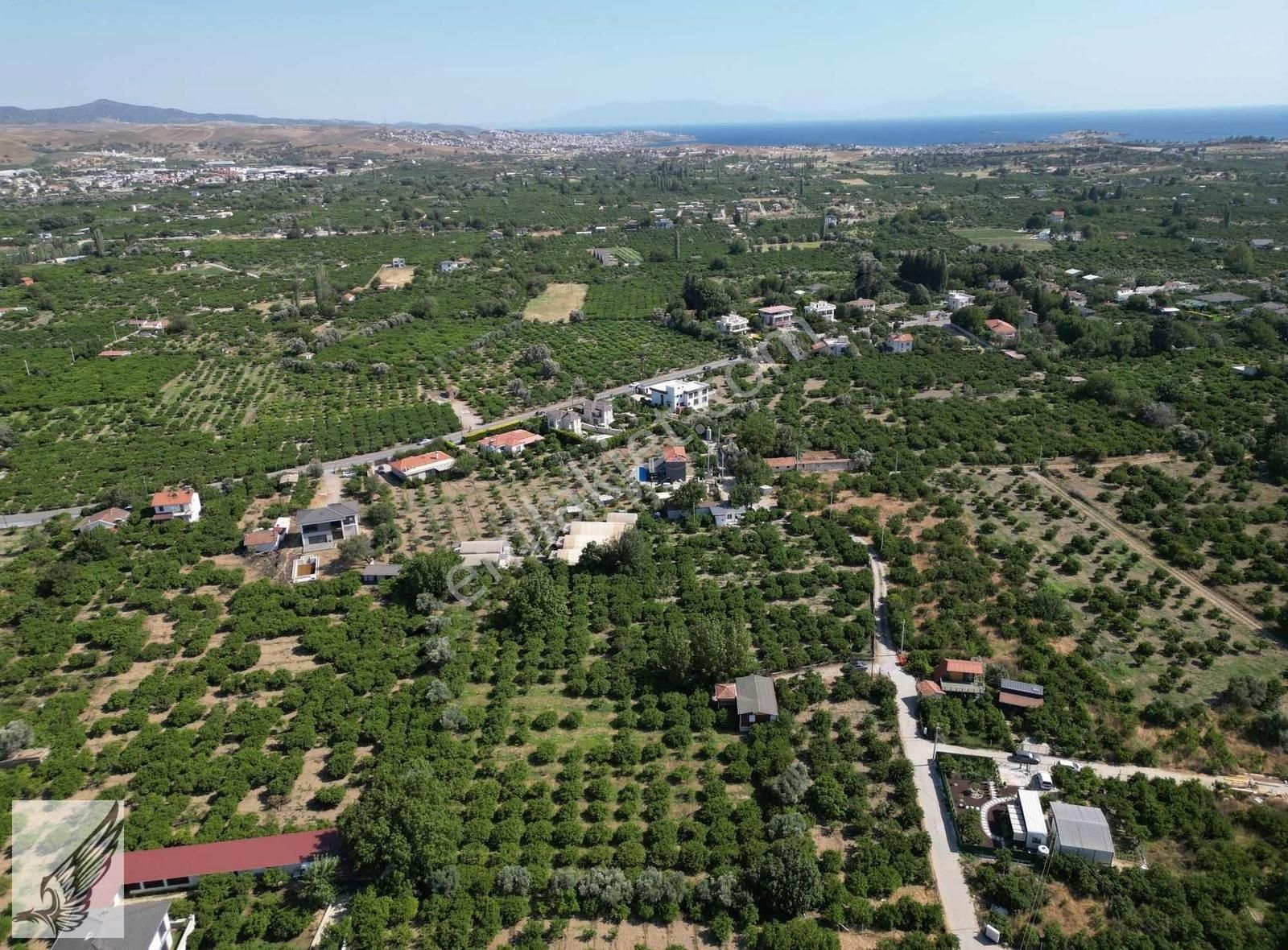 Sığacık Yolu Üzerinde 4.800m² Mandalina Bahçesi Ve Ruhsatlı Ev - Görsel 30