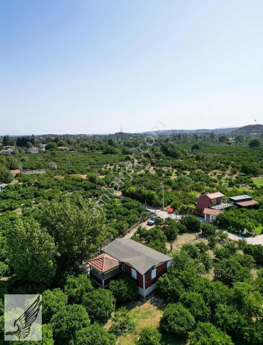 Sığacık Yolu Üzerinde 4.800m² Mandalina Bahçesi Ve Ruhsatlı Ev - Görsel 18