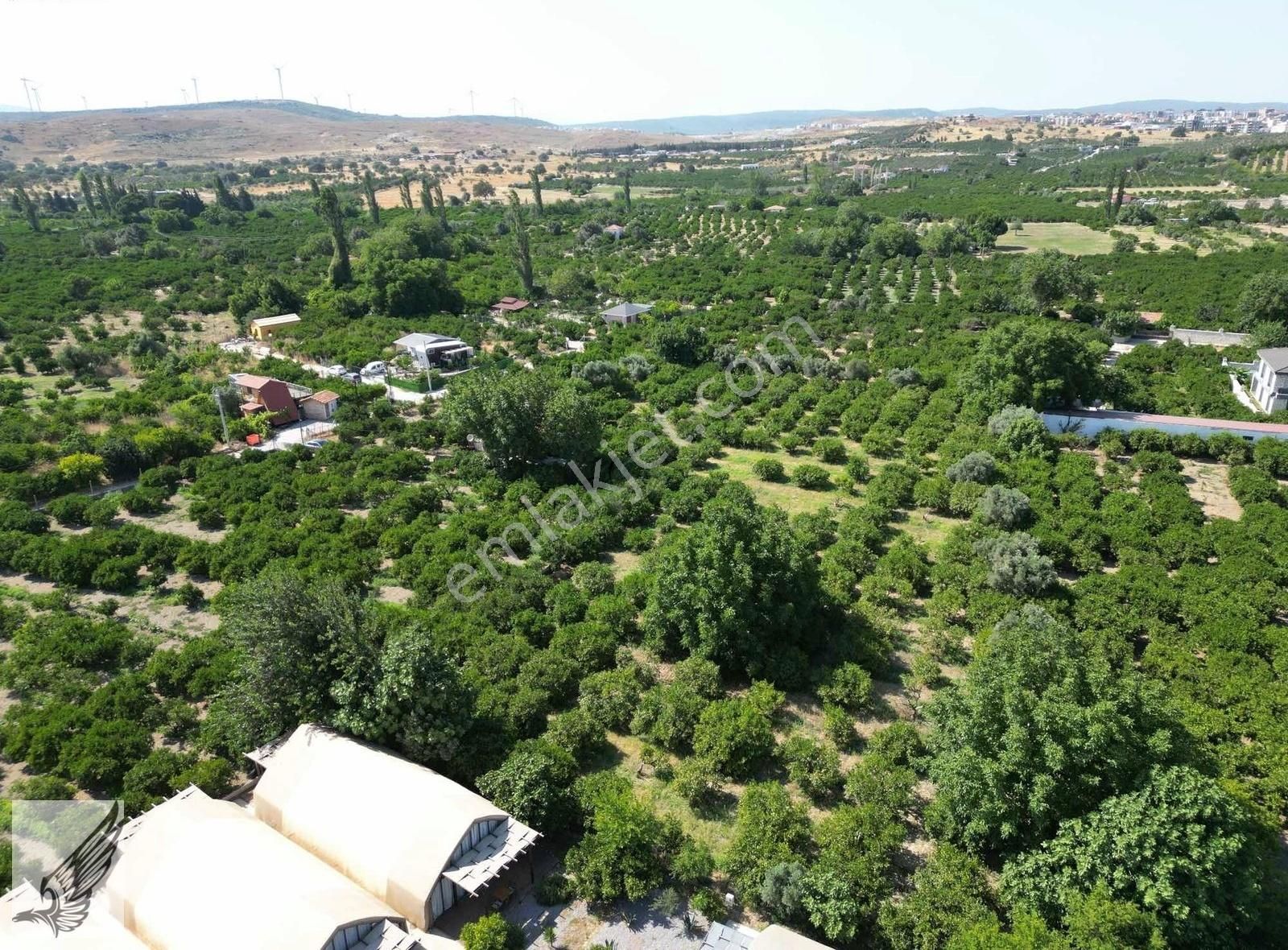 Sığacık Yolu Üzerinde 4.800m² Mandalina Bahçesi Ve Ruhsatlı Ev - Görsel 27