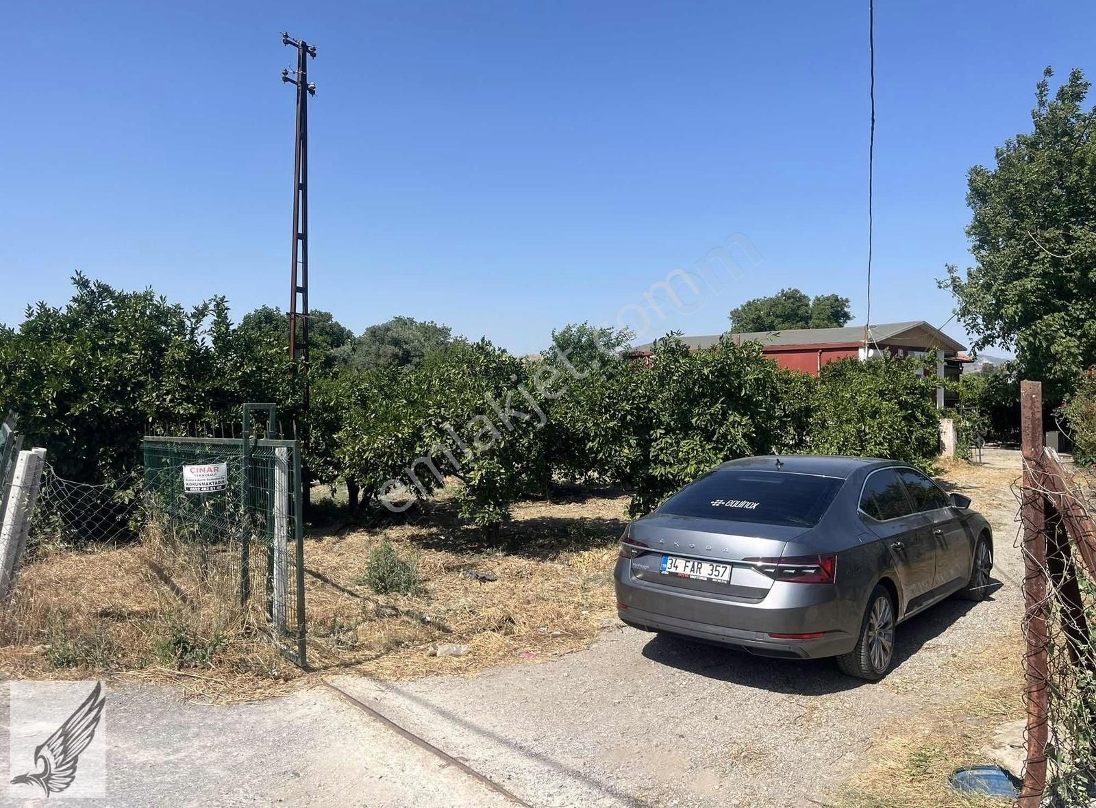 Sığacık Yolu Üzerinde 4.800m² Mandalina Bahçesi Ve Ruhsatlı Ev - Görsel 4