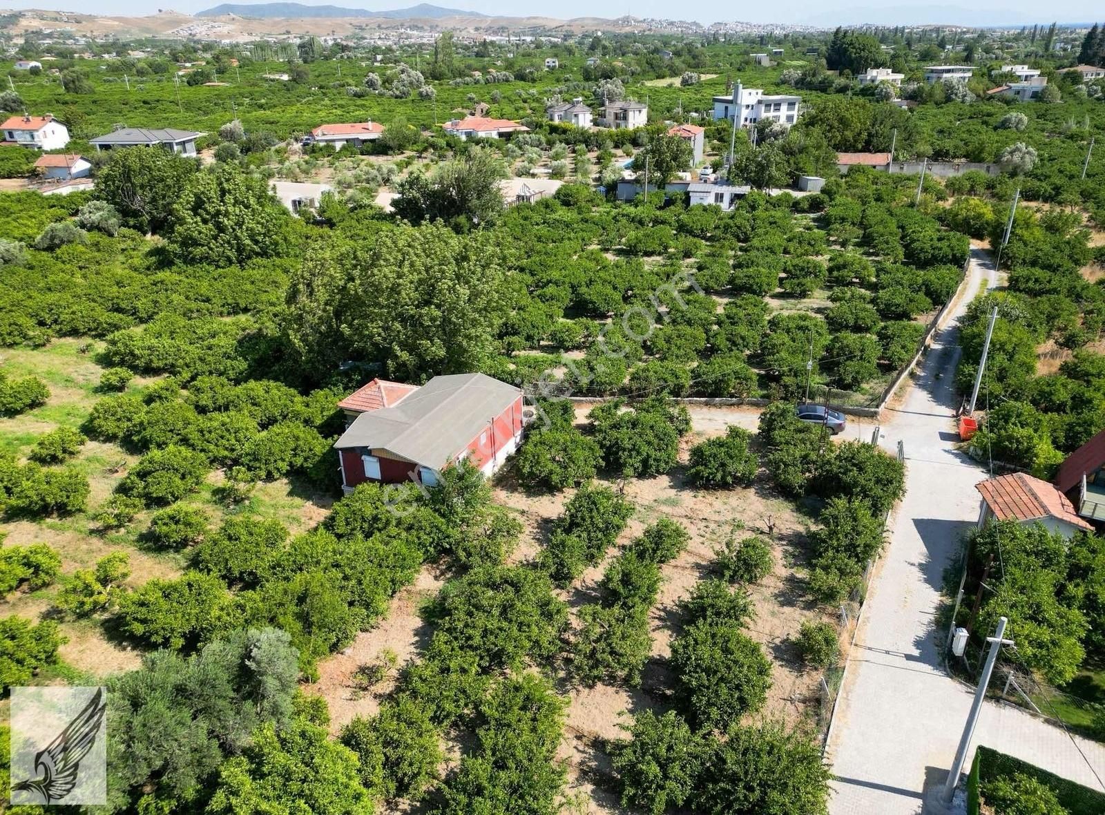 Sığacık Yolu Üzerinde 4.800m² Mandalina Bahçesi Ve Ruhsatlı Ev - Görsel 33