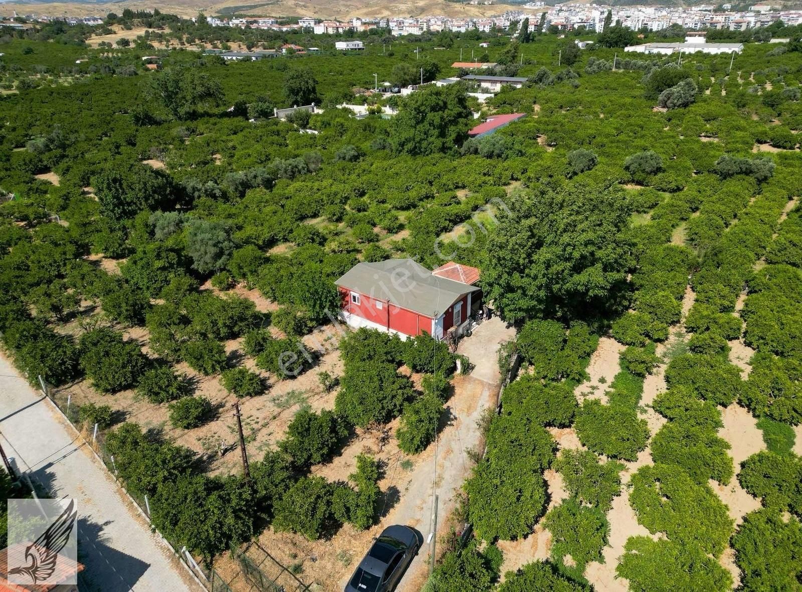Sığacık Yolu Üzerinde 4.800m² Mandalina Bahçesi Ve Ruhsatlı Ev - Görsel 16
