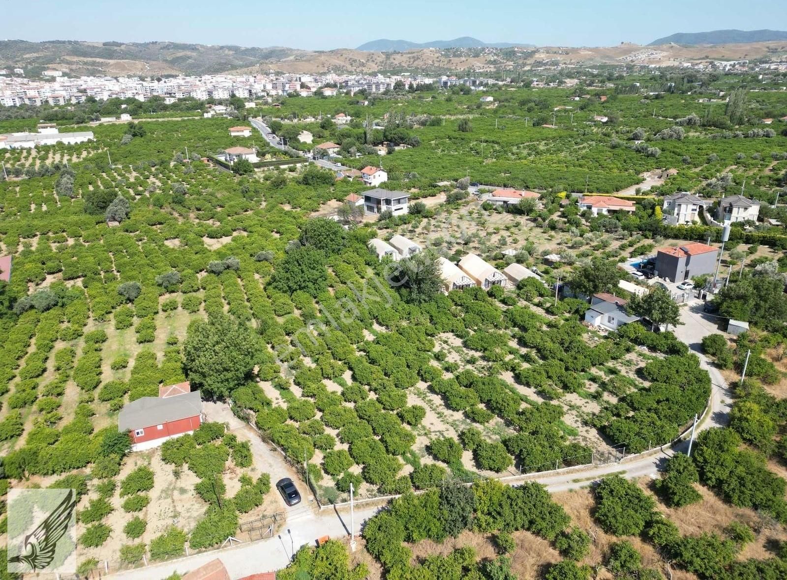 Sığacık Yolu Üzerinde 4.800m² Mandalina Bahçesi Ve Ruhsatlı Ev - Görsel 21