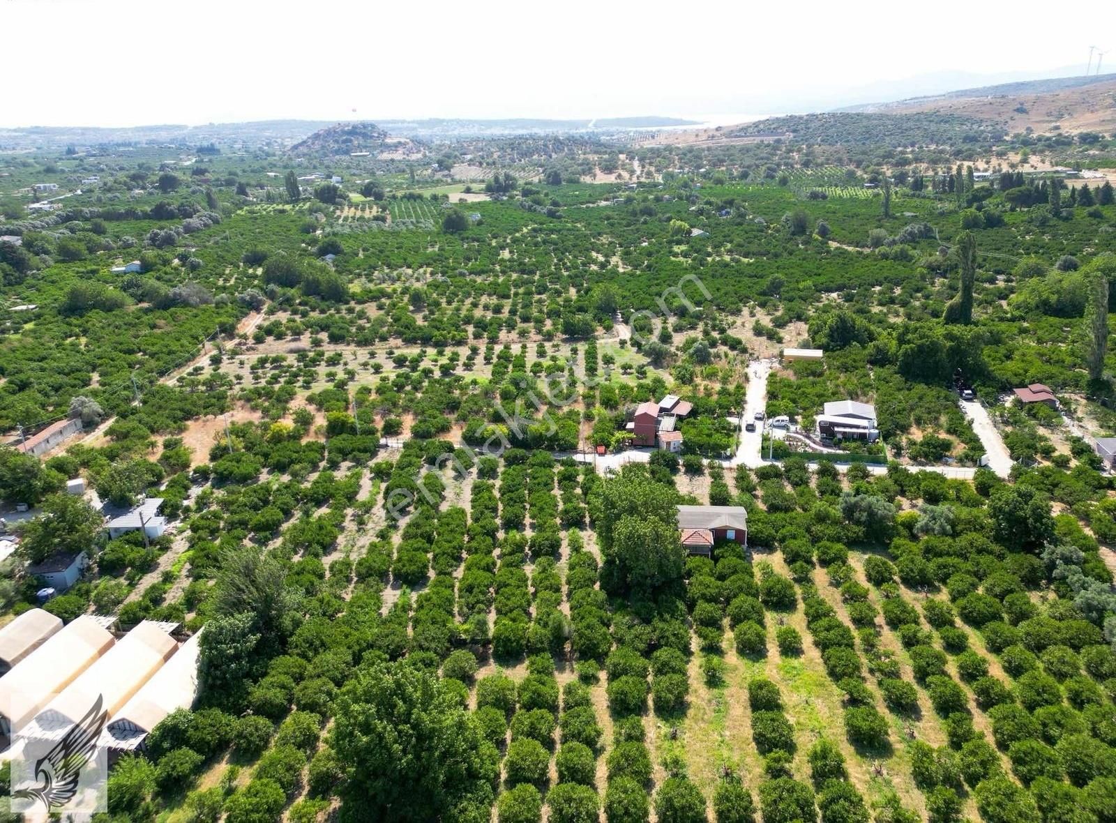Sığacık Yolu Üzerinde 4.800m² Mandalina Bahçesi Ve Ruhsatlı Ev - Görsel 28