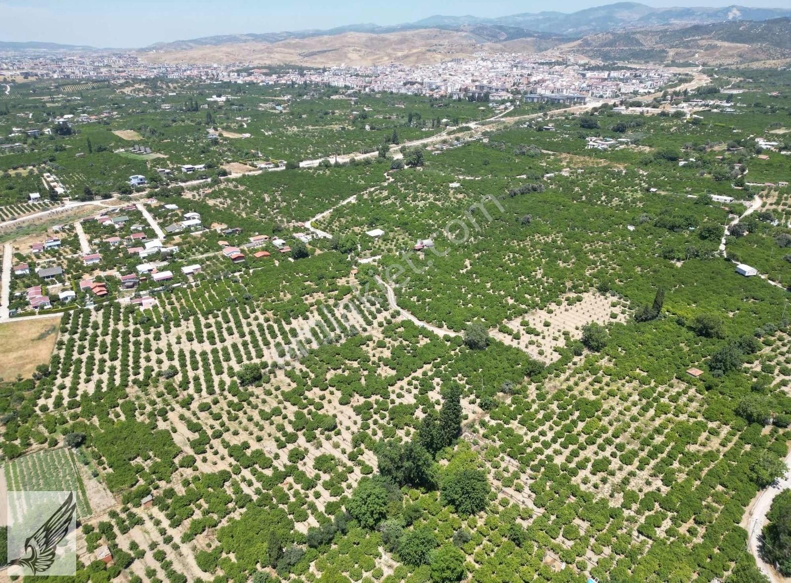 Seferihisar Hıdırlık Mahallesi 5.700m2 Satılık Mandalina Bahçesi - Görsel 16