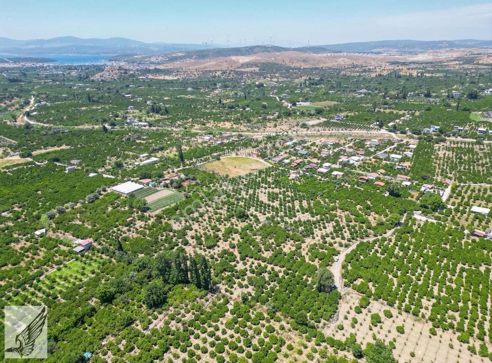 Seferihisar Hıdırlık Mahallesi 5.700m2 Satılık Mandalina Bahçesi - Görsel 25