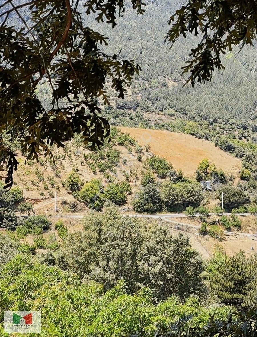 Kemalpaşa Kamberlerde Satılık 27600 M2 Muhteşem Villa Ve Çiftlik - Görsel 20