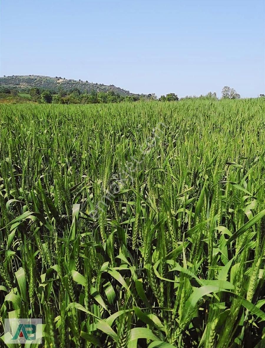 Bursa İnegöl Madenköy 70metre Yola Cepheli 10.200m2 Arazi - Görsel 7