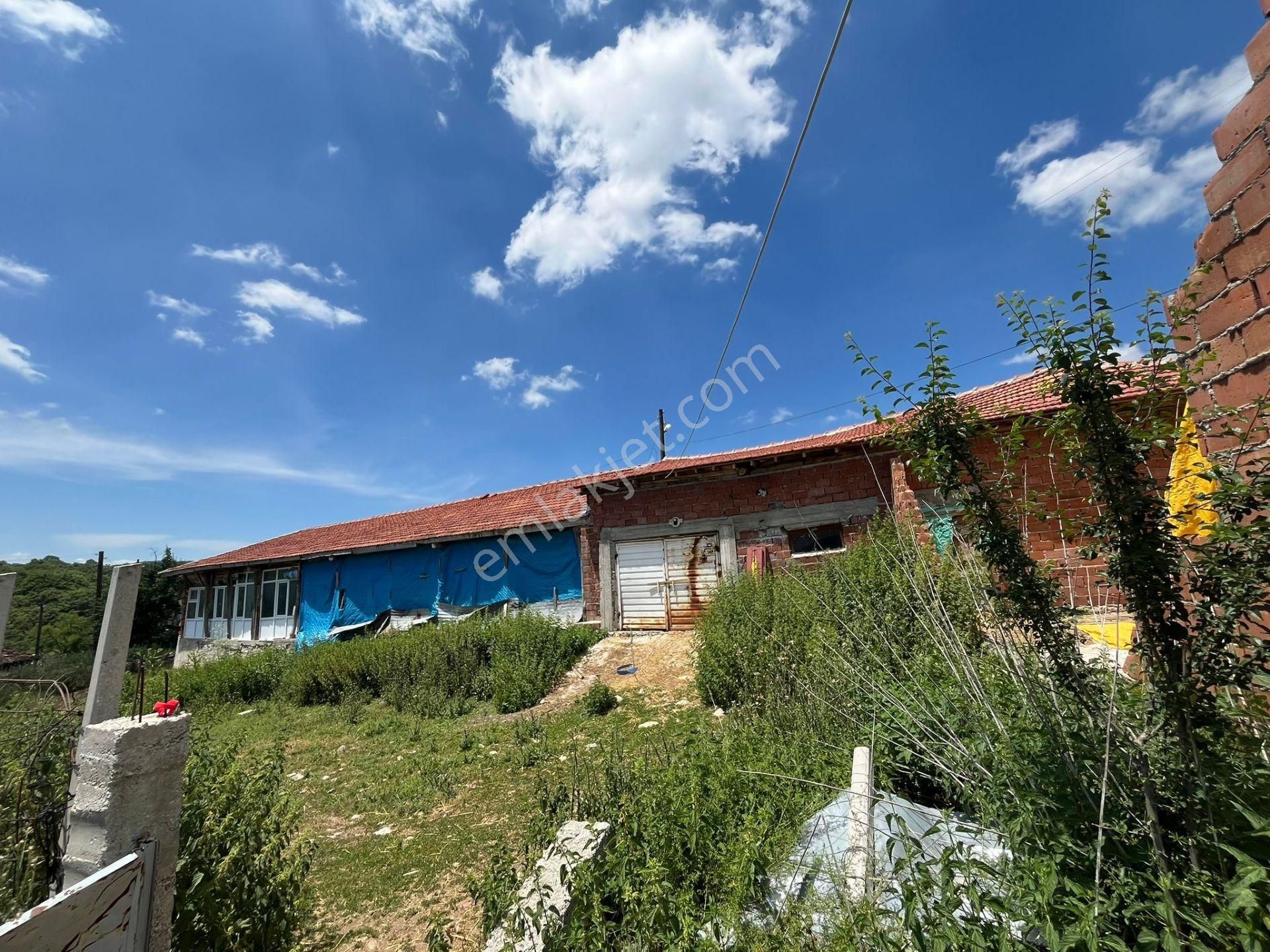 Eskişhir İnönü Yörük Yayla Köyünde Satılık Ahır Ve Arsa - Görsel 6