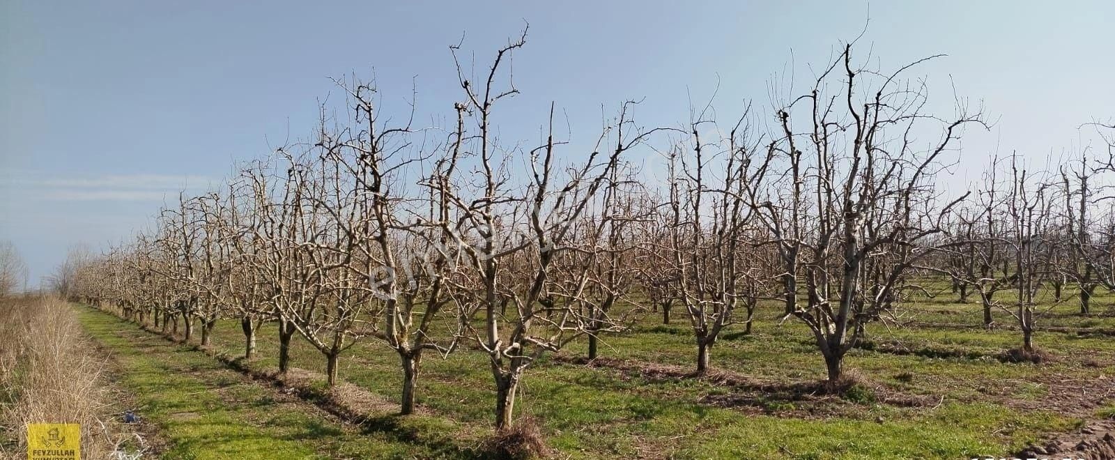 Feyzullah'tan Karacabey, Eskisarıbey'de 5262m2 Satılık Tarla